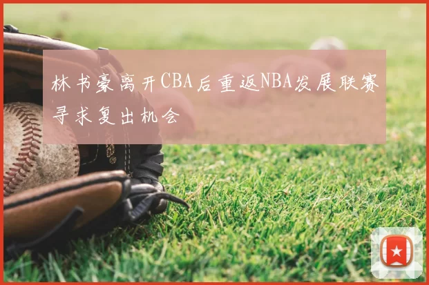林书豪离开CBA后重返NBA发展联赛寻求复出机会