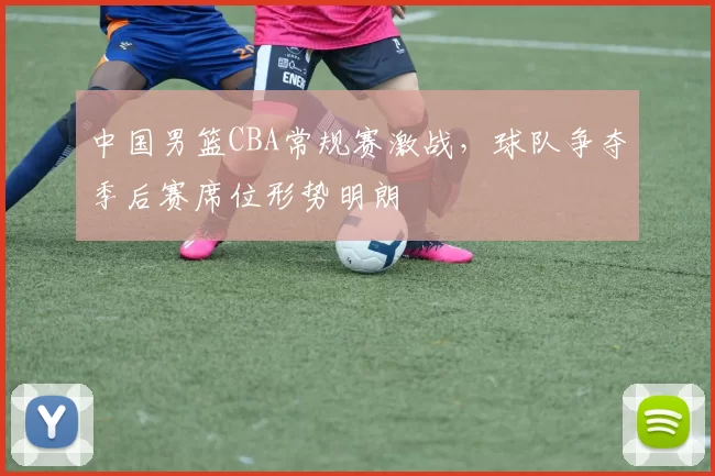 中国男篮CBA常规赛激战,球队争夺季后赛席位形势明朗