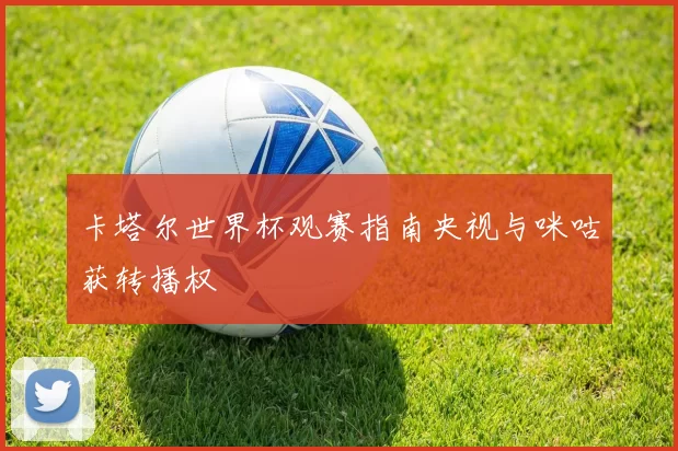 卡塔尔世界杯观赛指南央视与咪咕获转播权