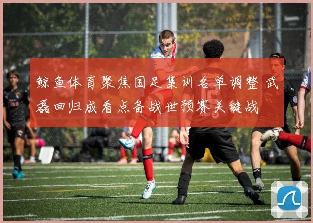 鲸鱼体育聚焦国足集训名单调整 武磊回归成看点备战世预赛关键战